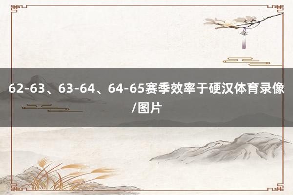 62-63、63-64、64-65赛季效率于硬汉体育录像/图片