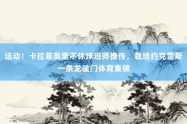 运动！卡拉菲奥里不休球班师撩传，栽培约克雷斯一条龙破门体育集锦