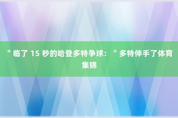 ＂临了 15 秒的哈登多特争球：＂多特伸手了体育集锦