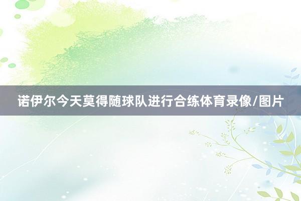 诺伊尔今天莫得随球队进行合练体育录像/图片