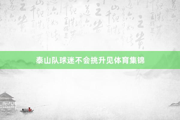 泰山队球迷不会挑升见体育集锦