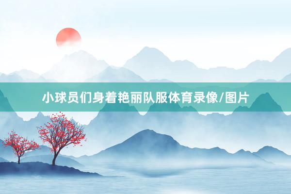 小球员们身着艳丽队服体育录像/图片