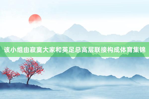 该小组由寂寞大家和英足总高层联接构成体育集锦