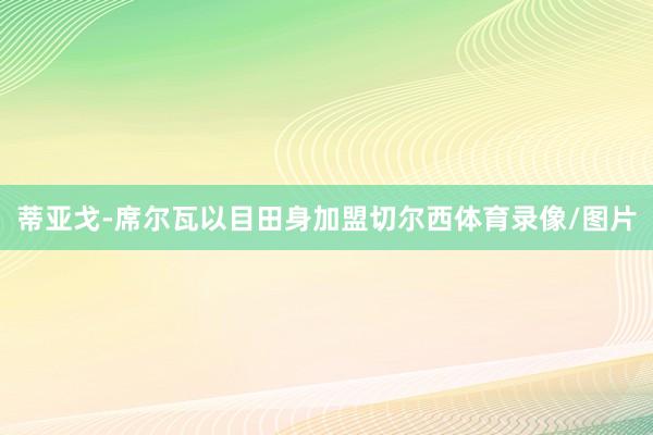蒂亚戈-席尔瓦以目田身加盟切尔西体育录像/图片