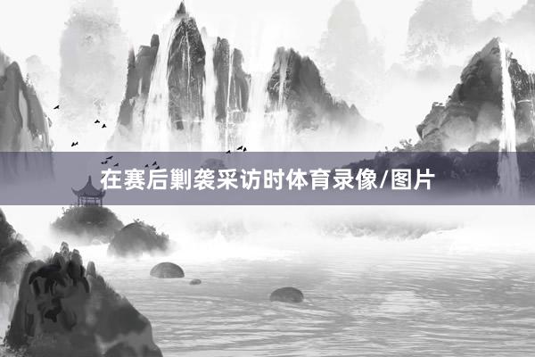 在赛后剿袭采访时体育录像/图片
