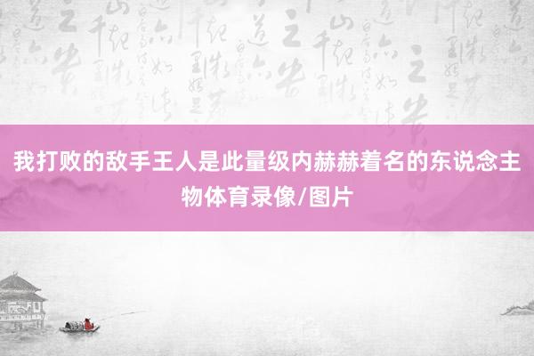我打败的敌手王人是此量级内赫赫着名的东说念主物体育录像/图片