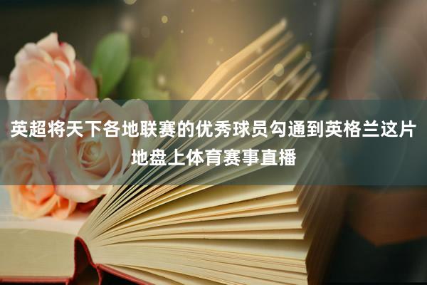 英超将天下各地联赛的优秀球员勾通到英格兰这片地盘上体育赛事直播