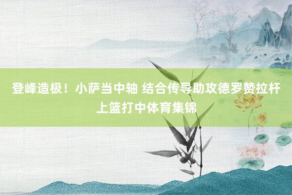 登峰造极！小萨当中轴 结合传导助攻德罗赞拉杆上篮打中体育集锦