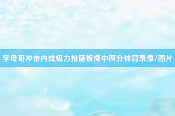 字母哥冲击内线极力抢篮板掷中两分体育录像/图片