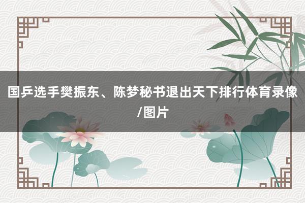 国乒选手樊振东、陈梦秘书退出天下排行体育录像/图片