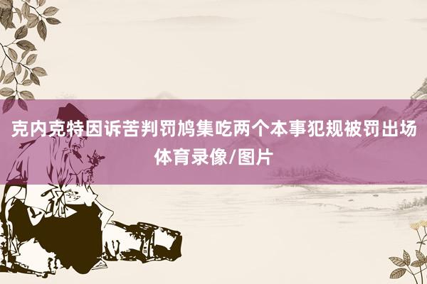 克内克特因诉苦判罚鸠集吃两个本事犯规被罚出场体育录像/图片