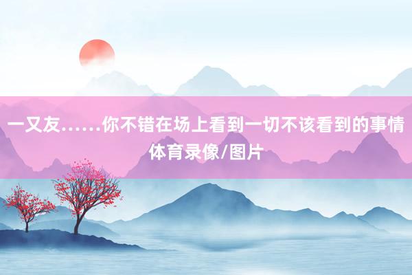一又友……你不错在场上看到一切不该看到的事情体育录像/图片