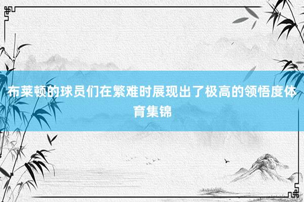 布莱顿的球员们在繁难时展现出了极高的领悟度体育集锦