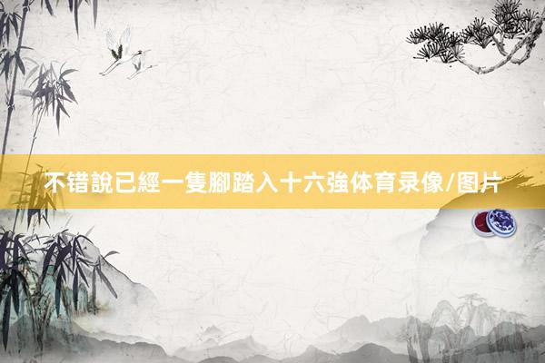 不错說已經一隻腳踏入十六強体育录像/图片