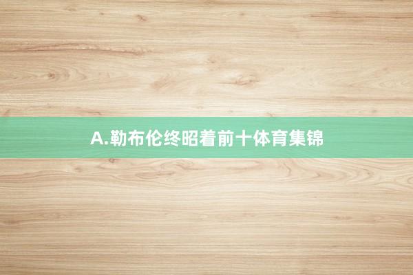 A.勒布伦终昭着前十体育集锦