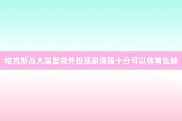 哈克斯高大端里突外投现象保握十分可以体育集锦