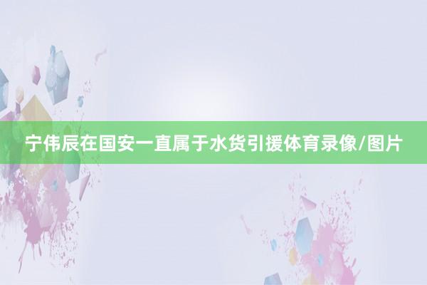 宁伟辰在国安一直属于水货引援体育录像/图片