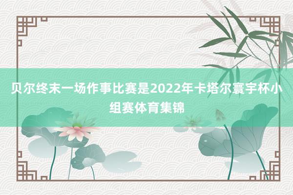 贝尔终末一场作事比赛是2022年卡塔尔寰宇杯小组赛体育集锦