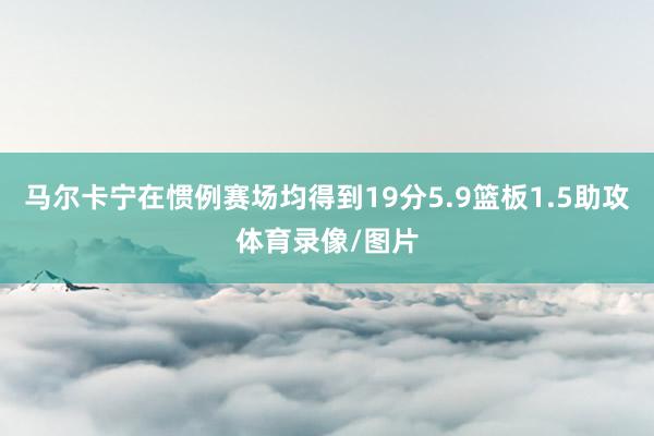 马尔卡宁在惯例赛场均得到19分5.9篮板1.5助攻体育录像/图片