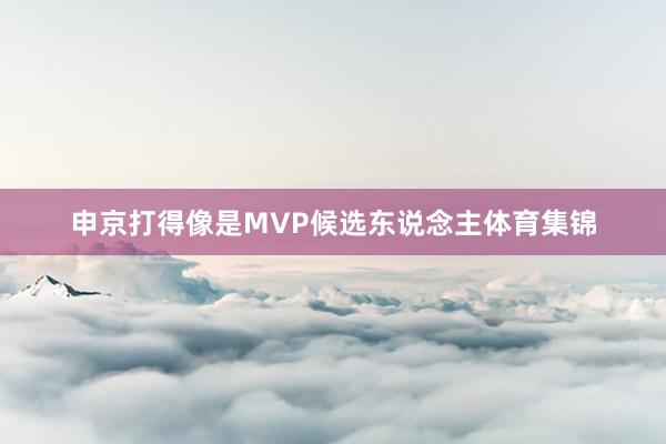 申京打得像是MVP候选东说念主体育集锦