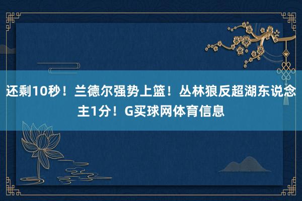 还剩10秒！兰德尔强势上篮！丛林狼反超湖东说念主1分！G买球网体育信息
