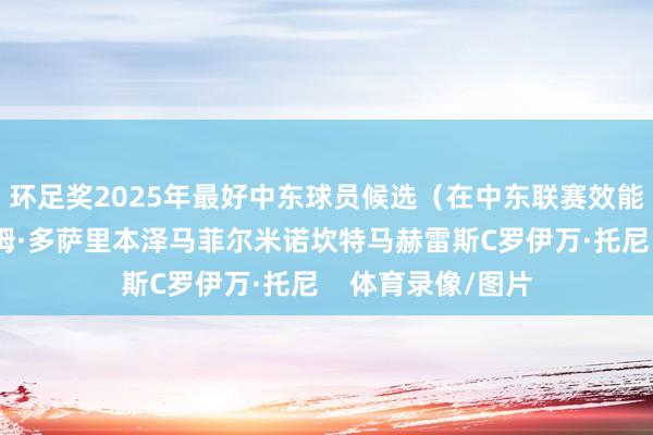 环足奖2025年最好中东球员候选（在中东联赛效能的球员）：萨利姆·多萨里本泽马菲尔米诺坎特马赫雷斯C罗伊万·托尼    体育录像/图片