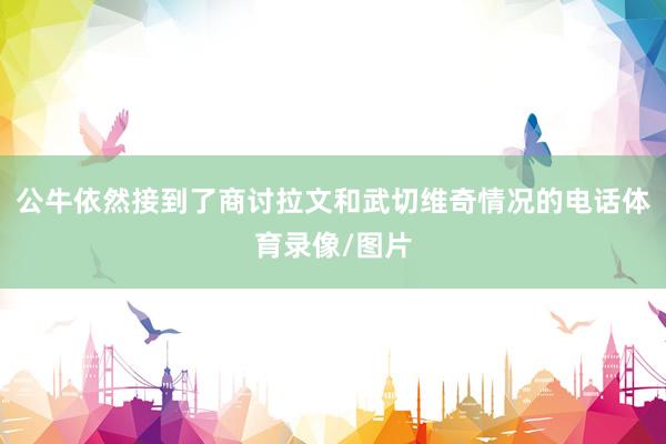 公牛依然接到了商讨拉文和武切维奇情况的电话体育录像/图片