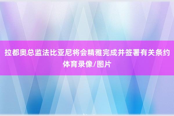 拉都奥总监法比亚尼将会精雅完成并签署有关条约体育录像/图片