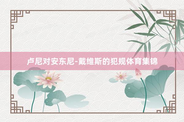 卢尼对安东尼-戴维斯的犯规体育集锦