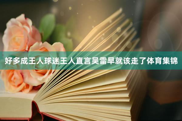 好多成王人球迷王人直言吴雷早就该走了体育集锦