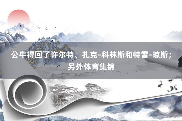 公牛得回了许尔特、扎克-科林斯和特雷-琼斯；另外体育集锦