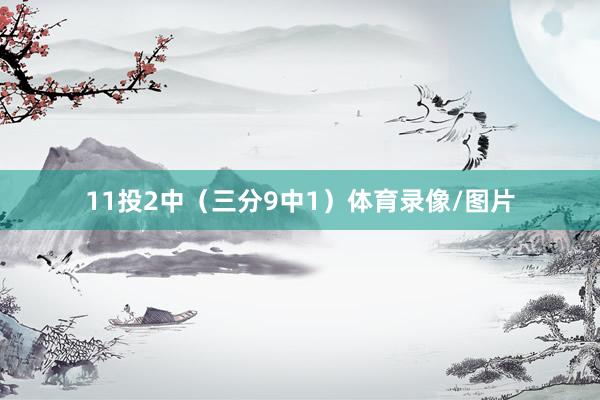 11投2中（三分9中1）体育录像/图片