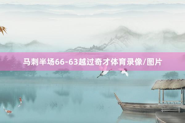 马刺半场66-63越过奇才体育录像/图片