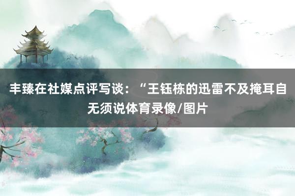 丰臻在社媒点评写谈:“王钰栋的迅雷不及掩耳自无须说体育录像/图片