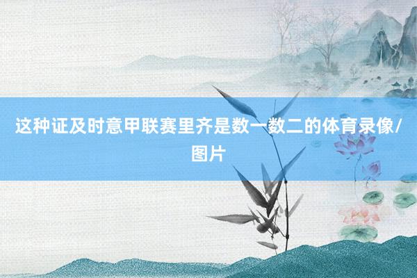 这种证及时意甲联赛里齐是数一数二的体育录像/图片