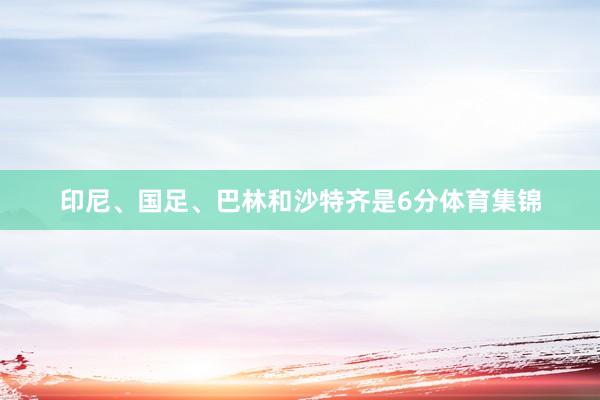 印尼、国足、巴林和沙特齐是6分体育集锦