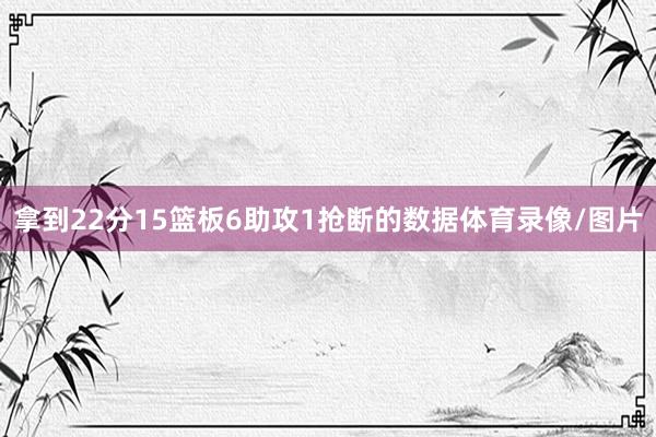 拿到22分15篮板6助攻1抢断的数据体育录像/图片