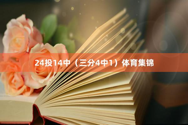 24投14中（三分4中1）体育集锦