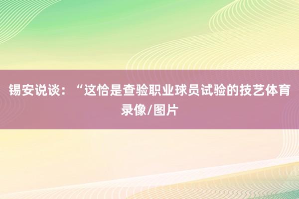锡安说谈：“这恰是查验职业球员试验的技艺体育录像/图片