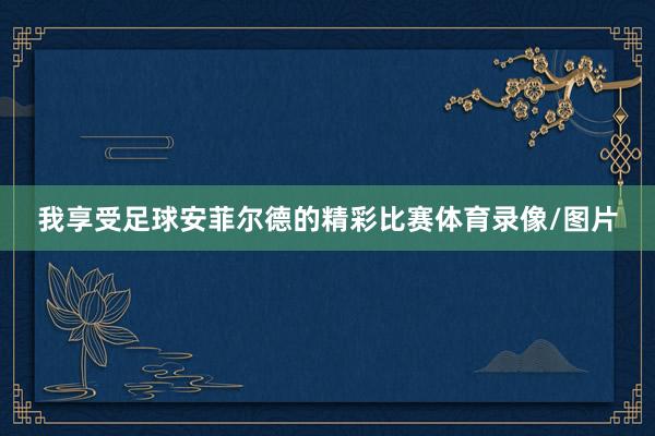 我享受足球安菲尔德的精彩比赛体育录像/图片