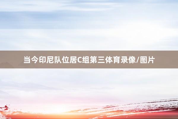 当今印尼队位居C组第三体育录像/图片