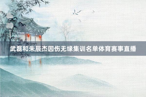 武磊和朱辰杰因伤无缘集训名单体育赛事直播