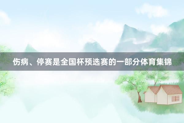伤病、停赛是全国杯预选赛的一部分体育集锦