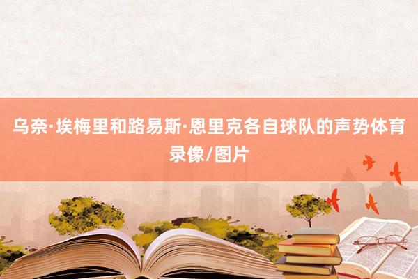 乌奈·埃梅里和路易斯·恩里克各自球队的声势体育录像/图片