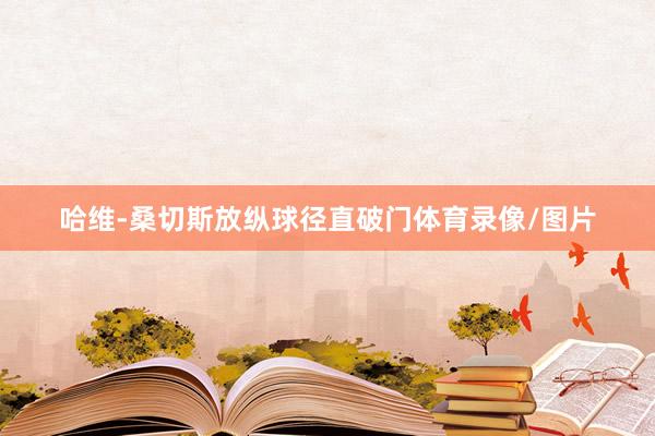 哈维-桑切斯放纵球径直破门体育录像/图片