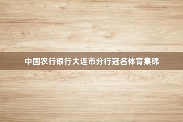 中国农行银行大连市分行冠名体育集锦