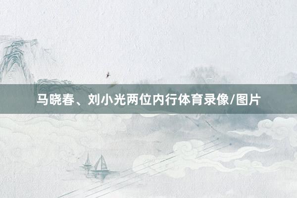 马晓春、刘小光两位内行体育录像/图片