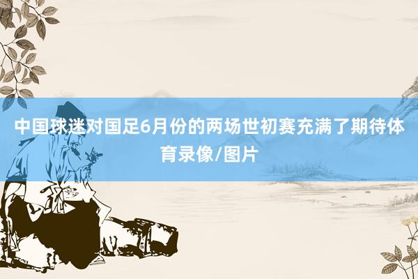 中国球迷对国足6月份的两场世初赛充满了期待体育录像/图片