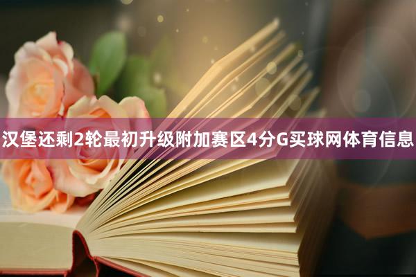 汉堡还剩2轮最初升级附加赛区4分G买球网体育信息