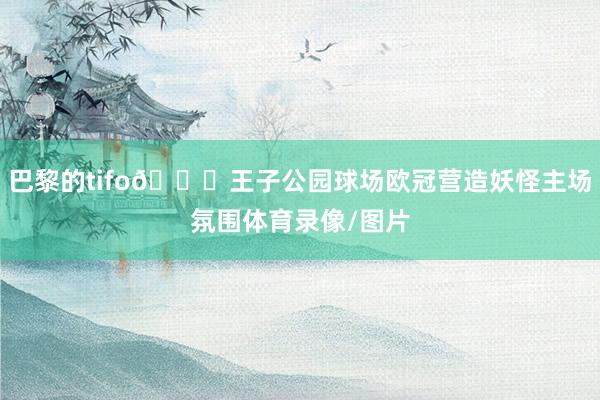 巴黎的tifo👀王子公园球场欧冠营造妖怪主场氛围体育录像/图片